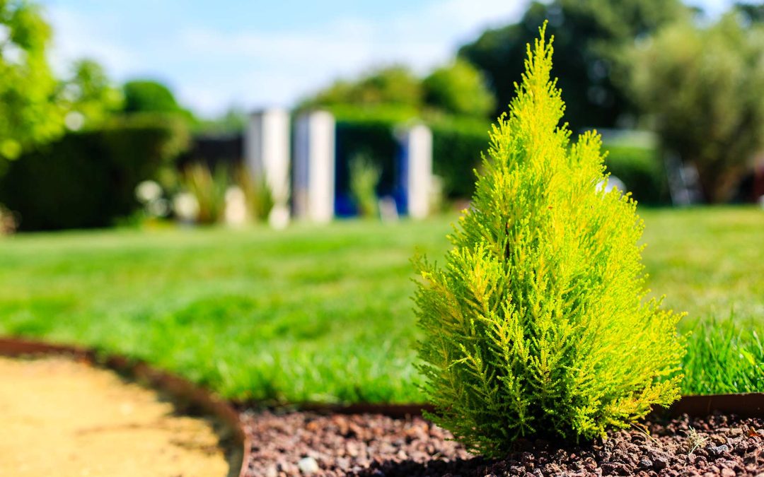 Site vitrine ManuPaysage — Paysagiste à La Baule / Guérande﻿
